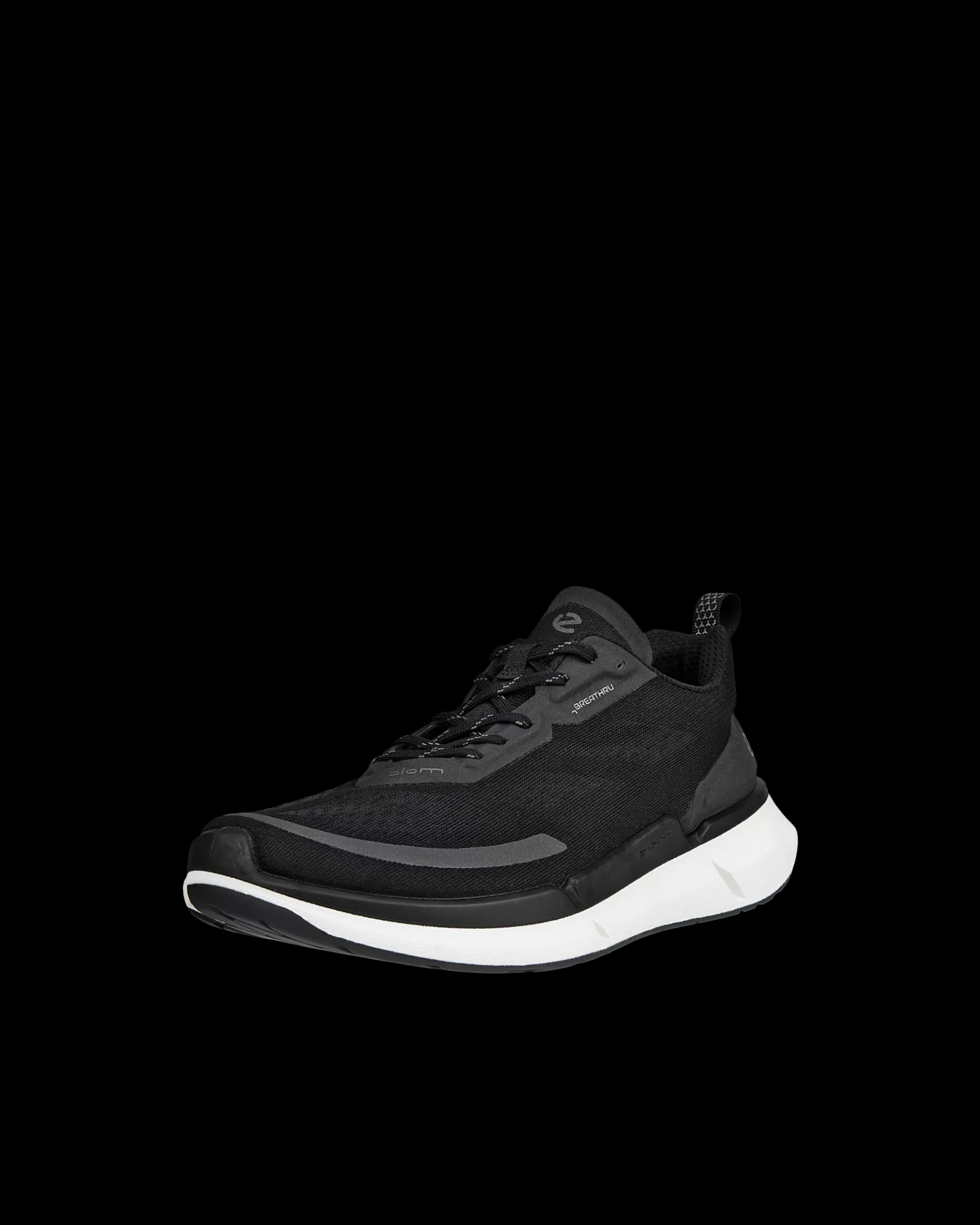 BIOM 2.2 W^ECCO Online